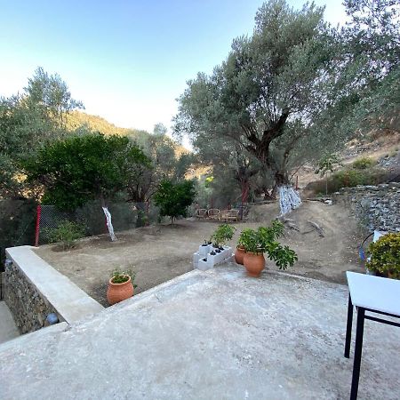 House With Beautiful Garden In Plomari Apartment Екстериор снимка