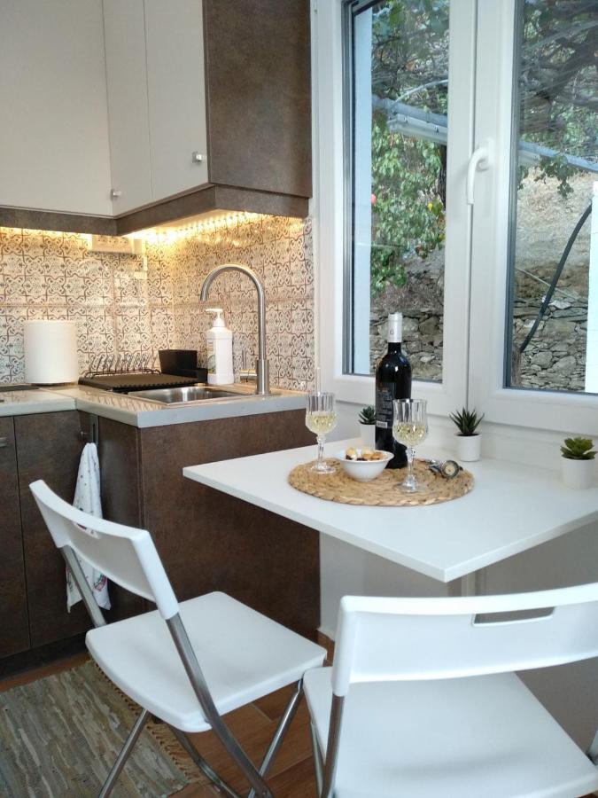 House With Beautiful Garden In Plomari Apartment Екстериор снимка