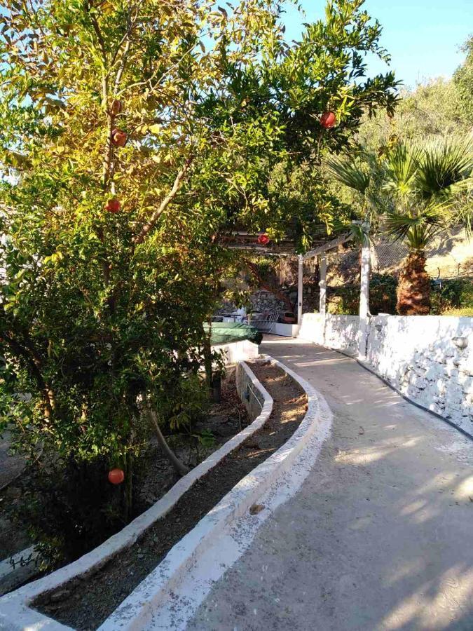 House With Beautiful Garden In Plomari Apartment Екстериор снимка